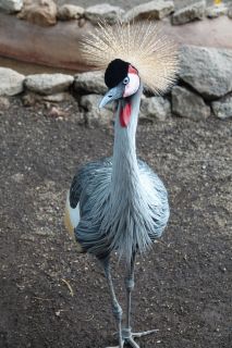 GC-Plalmitos Park 2019-163.JPG